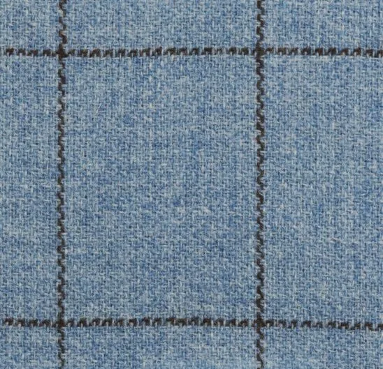 Light Blue and Brown Windowpane