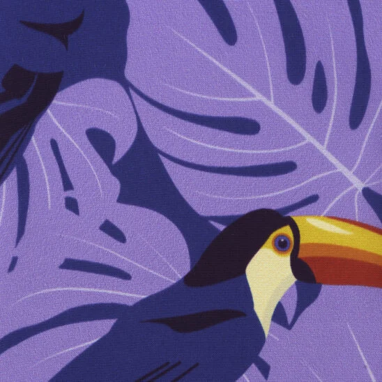 Mauve Toucan