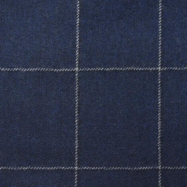 Navy and White Windowpane