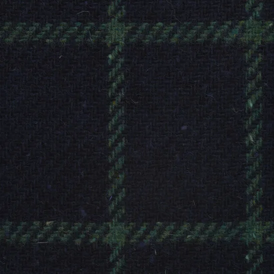 Navy and Green Windowpane Check