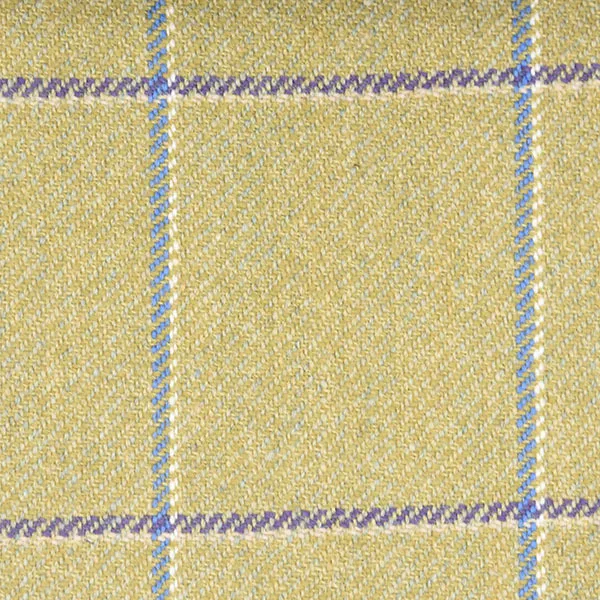 Yellow and Blue Winowpane