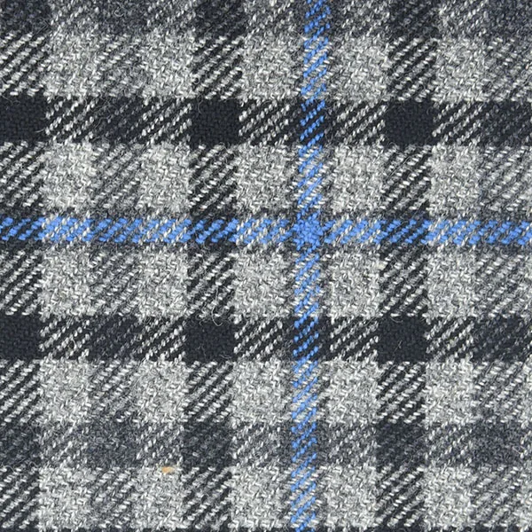 Navy and Blue Box Check