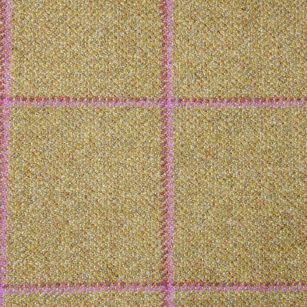 Tan and Pink Windowpane Check