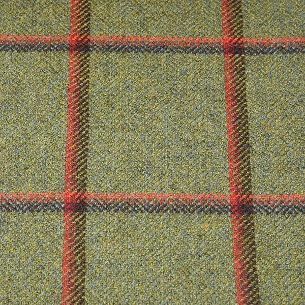 Sage Green and Rust Windowpane Check