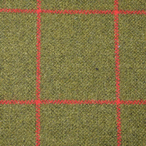 Leaf Green and Red Windpane Check