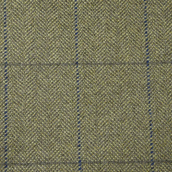 Pea Green and Blue Windowpane