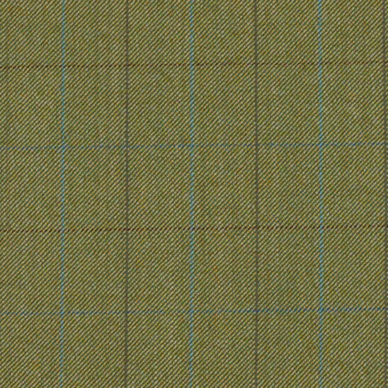 Olive Green and Light Blue Windowpane