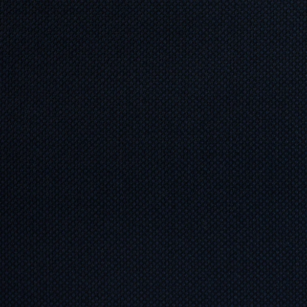 Navy Birdseye