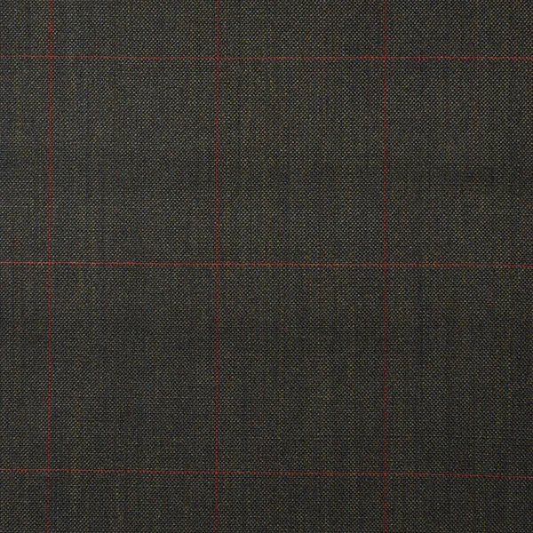 Olive with Red Windowpane
