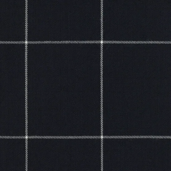 Navy and White Windowpane