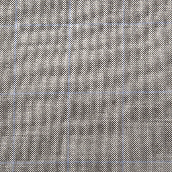 Light Grey and Blue Windowpane