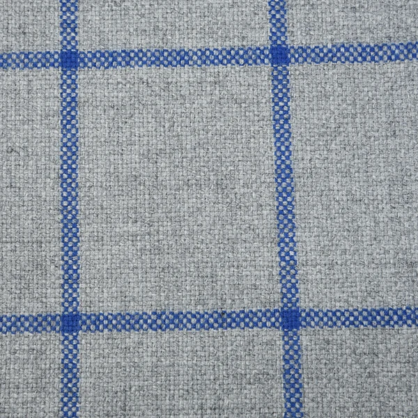 Light Grey and Blue Wide Windowpane