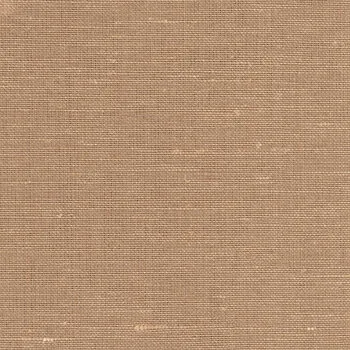Tan Texture