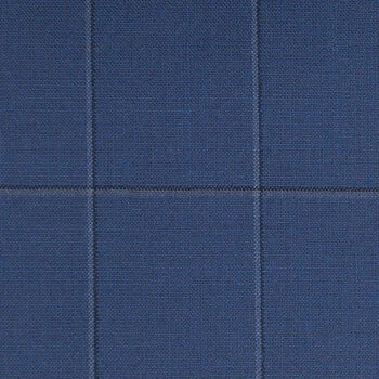 Marine Blue and Grey Windowpane