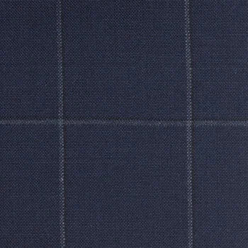 Navy and White Windowpane