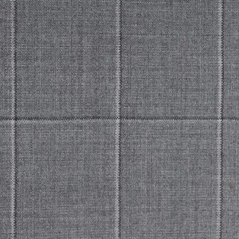Light Grey and Graphite Windowpane