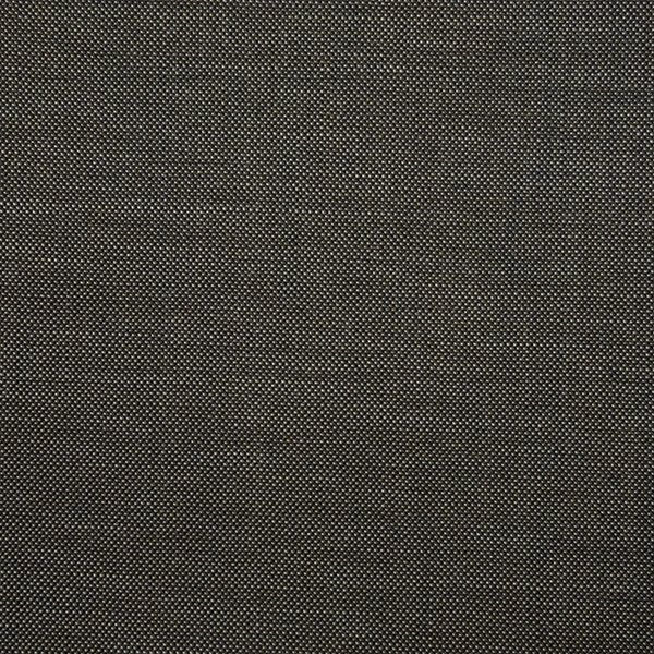Light Grey Pindot Texture