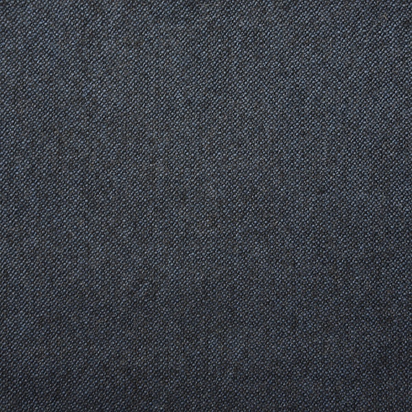 Steel Blue Birdeye