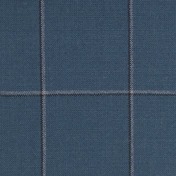 Postal Blue and Grey Windowpane