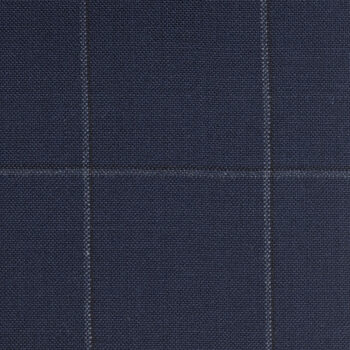Navy and White Windowpane