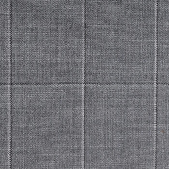 Light Grey and Graphite Windowpane