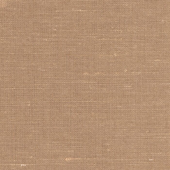 Tan Texture