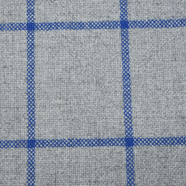 Light Grey and Blue Wide Windowpane