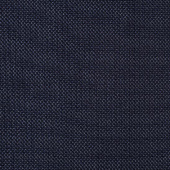 Bright Navy Birdseye