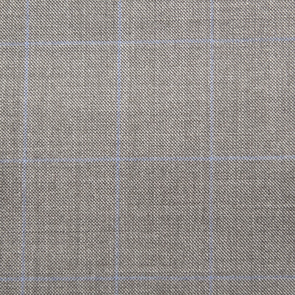 Light Grey and Blue Windowpane