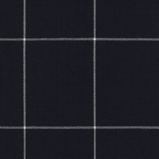Navy and White Windowpane