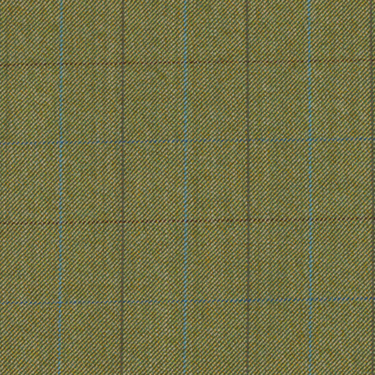 Olive Green and Light Blue Windowpane