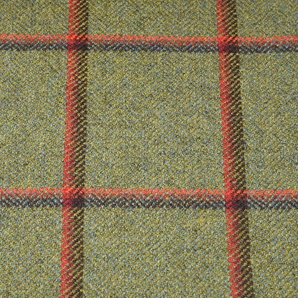 Sage Green and Rust Windowpane Check