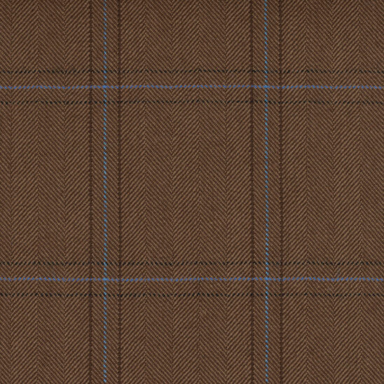 Brown, Oak and Light Blue Windowpane Overcheck