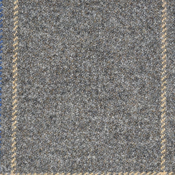 Grey and Yellow Windowpane