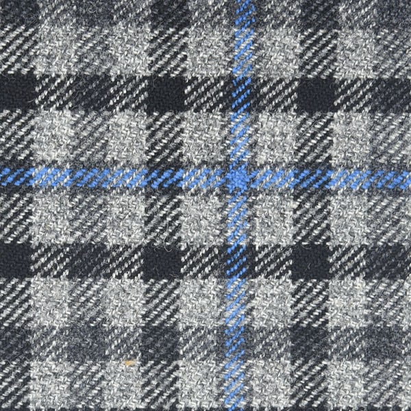 Navy and Blue Box Check