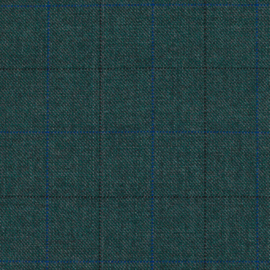 Forest Green and Blue Windowpane