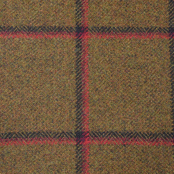Light Brown and Red Windowpane Check