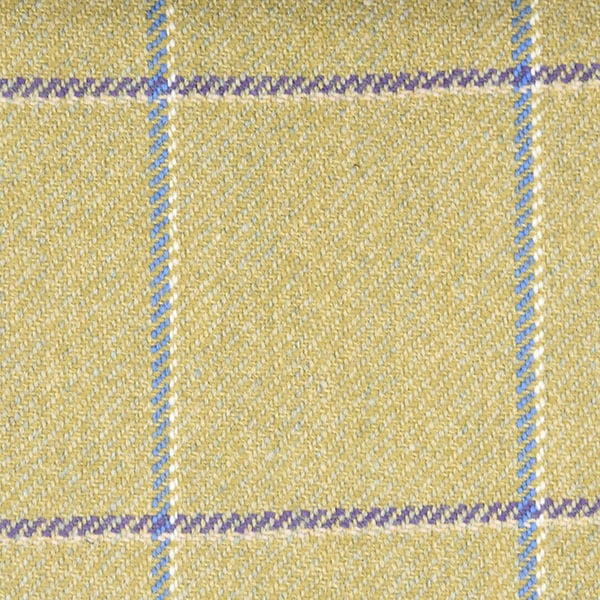 Yellow and Blue Winowpane