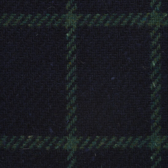 Navy and Green Windowpane Check