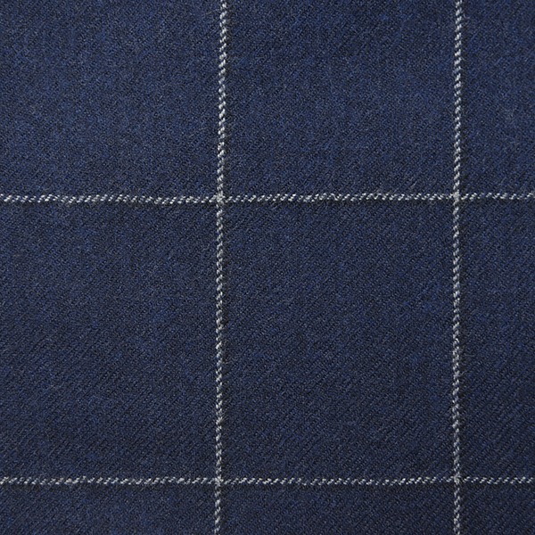 Navy and White Windowpane