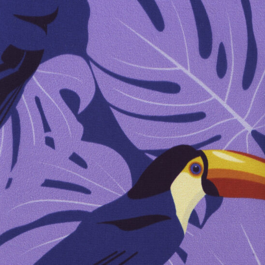 Mauve Toucan