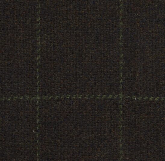 Olive and Mint Windowpane Check
