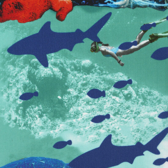 Diver