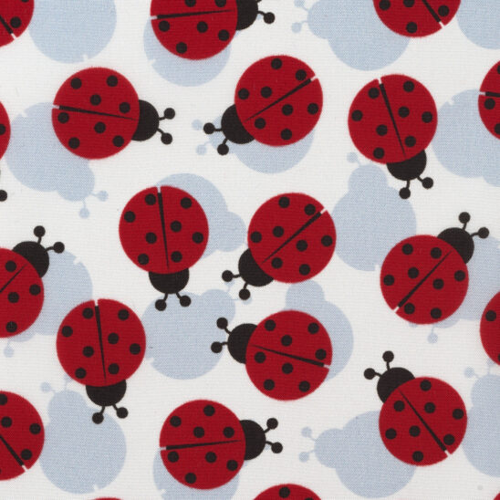 LadyBird