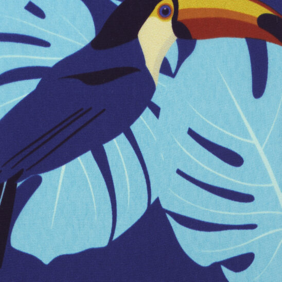 Toucan