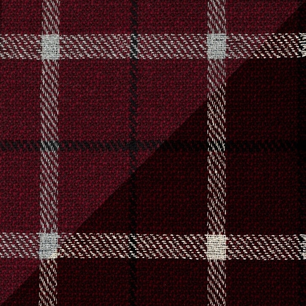 iridescent Red Check