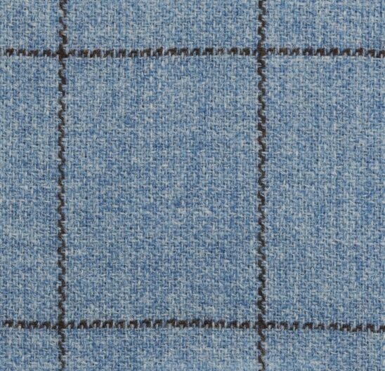 Light Blue and Brown Windowpane