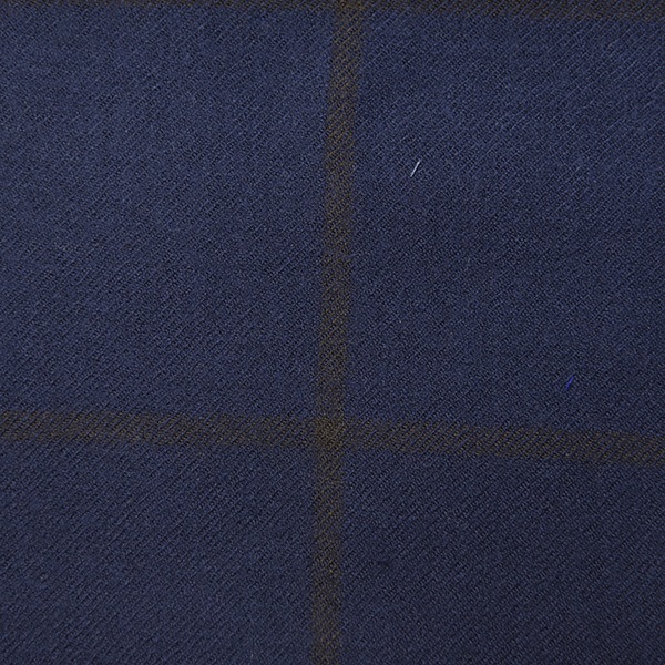 Blue and Brown Windowpane