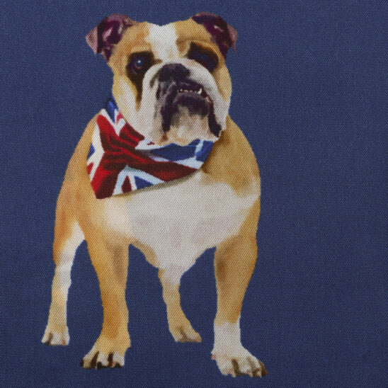 Navy Bull Dog