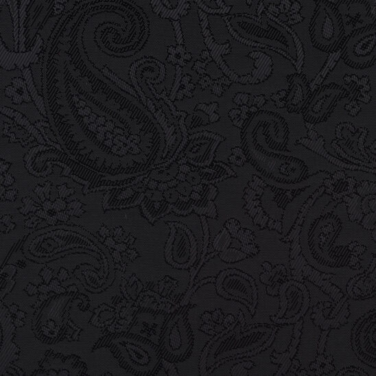 Black Paisley